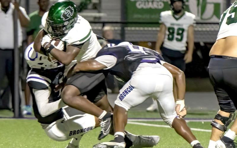 Article Image Alt Text