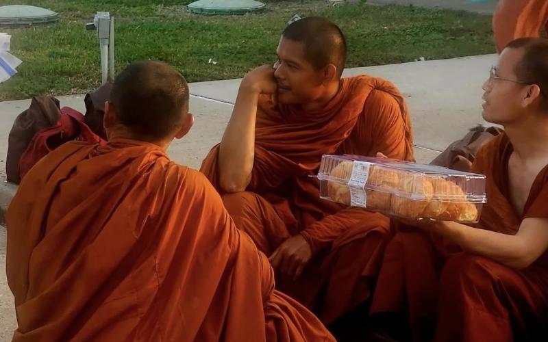 Article Image Alt Text