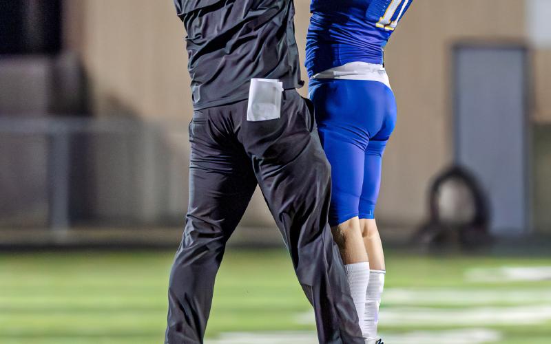 Article Image Alt Text