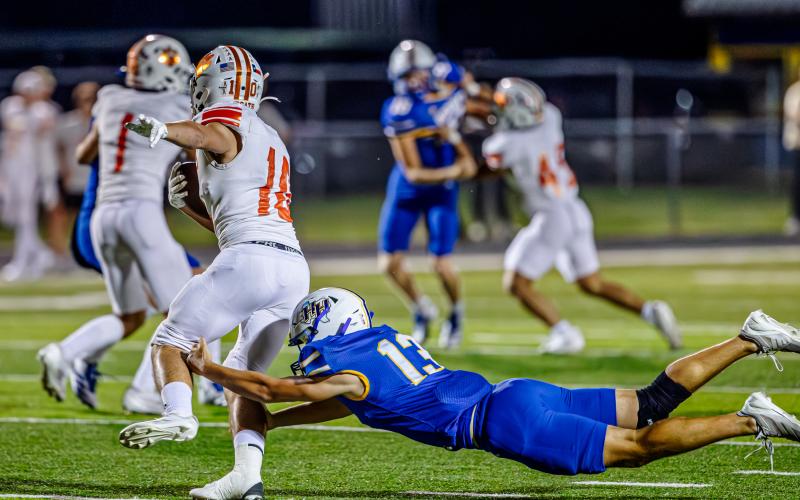 Article Image Alt Text