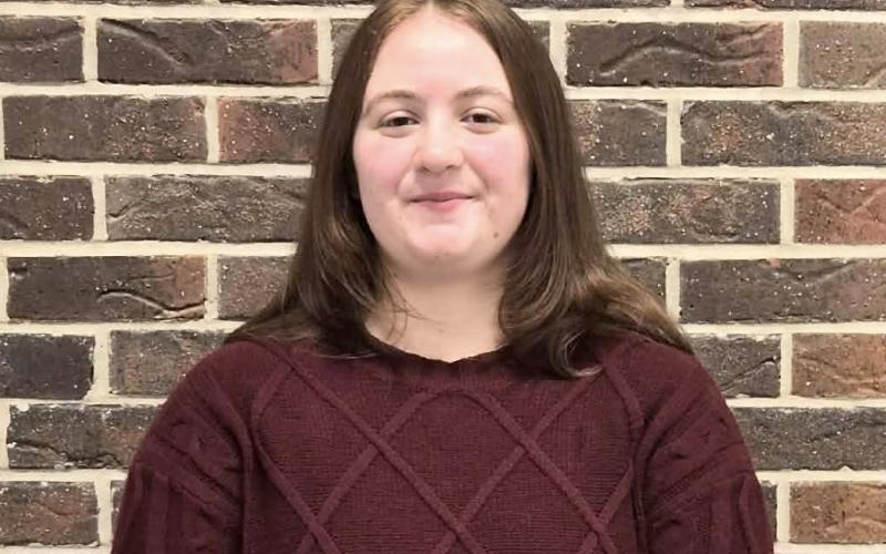 Article Image Alt Text