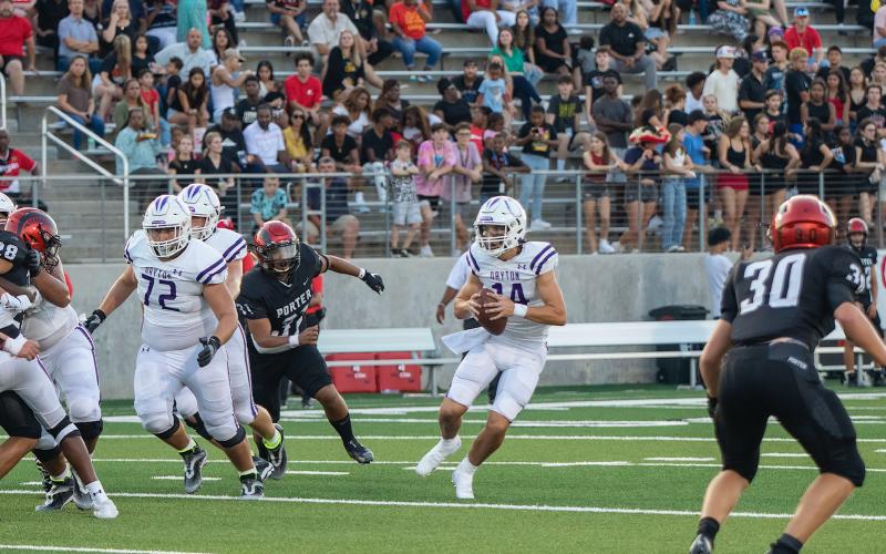 Article Image Alt Text