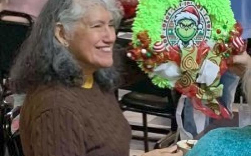 Article Image Alt Text