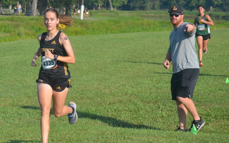 Article Image Alt Text