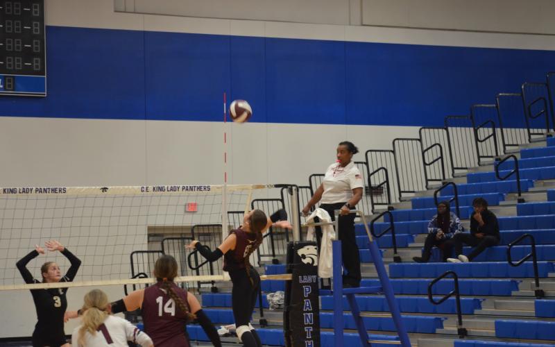 Article Image Alt Text