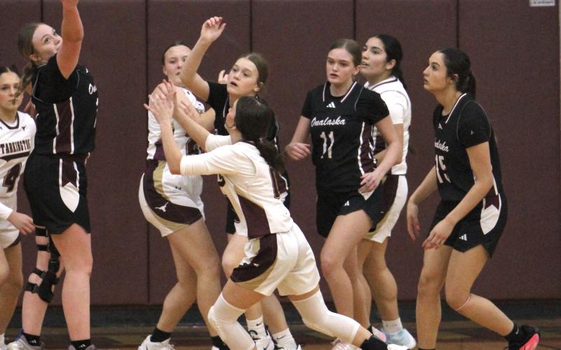 Article Image Alt Text