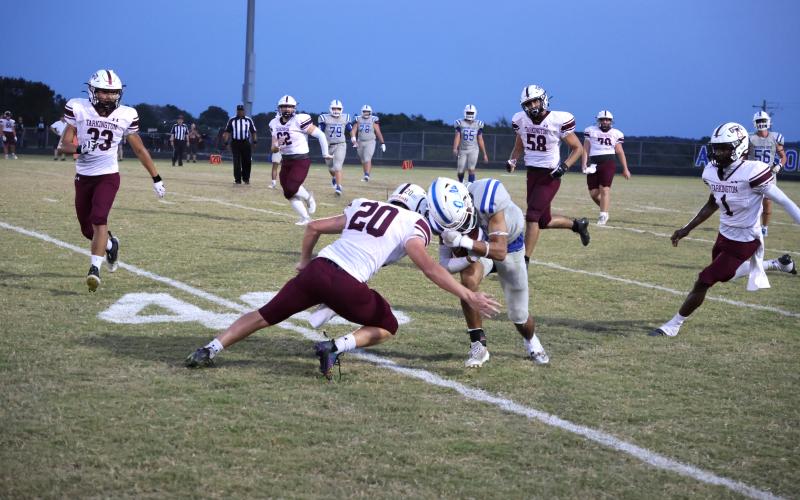 Article Image Alt Text