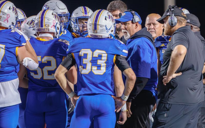 Article Image Alt Text