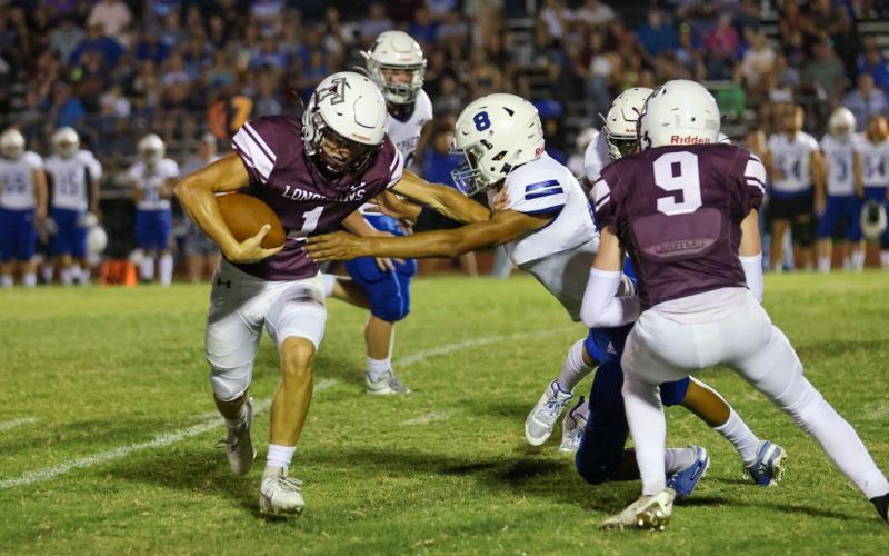 Article Image Alt Text