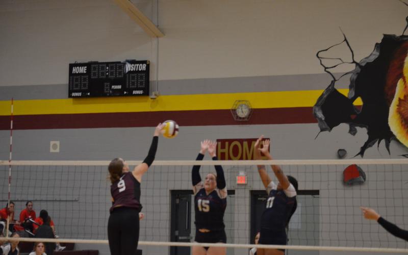 Article Image Alt Text