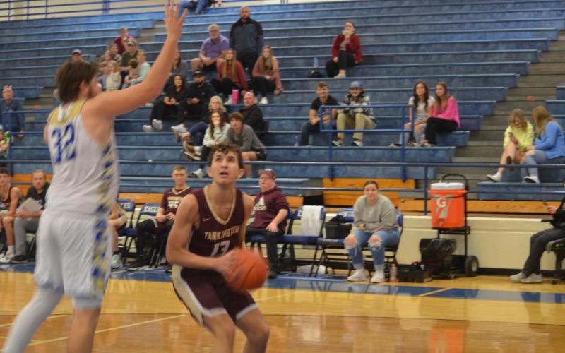 Article Image Alt Text