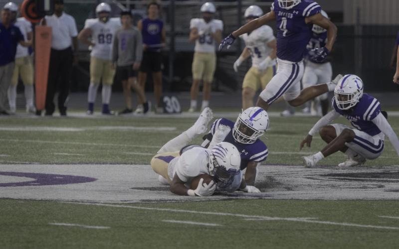 Article Image Alt Text