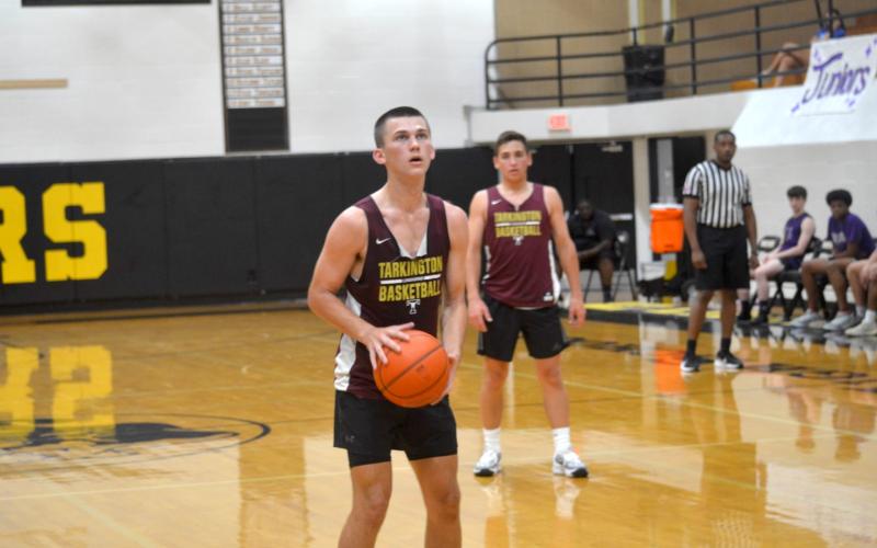 Article Image Alt Text