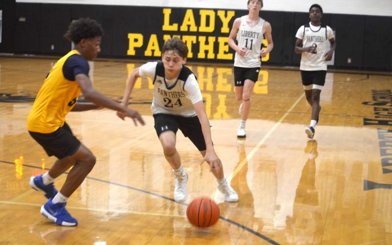 Article Image Alt Text