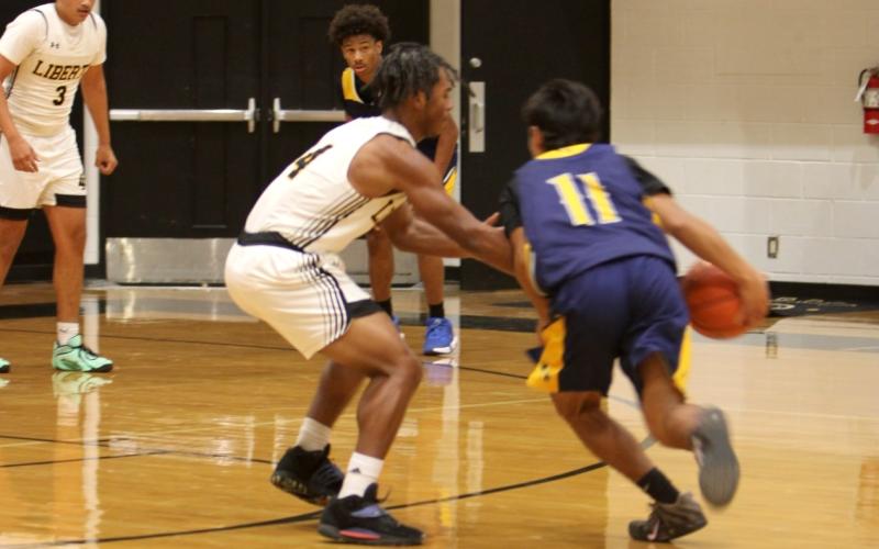 Article Image Alt Text