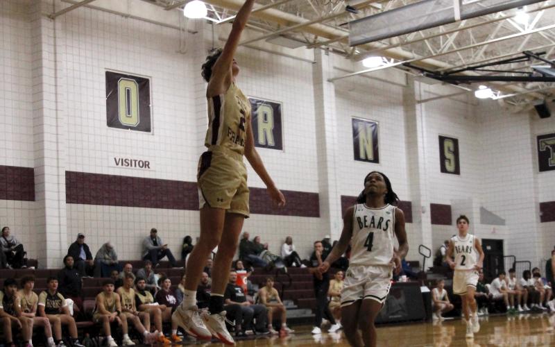 Article Image Alt Text