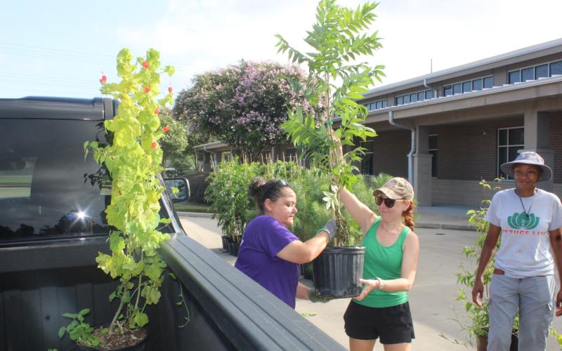 Article Image Alt Text