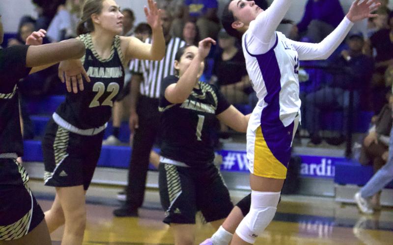 Article Image Alt Text