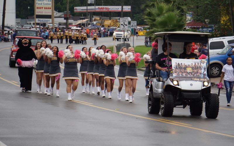 Article Image Alt Text