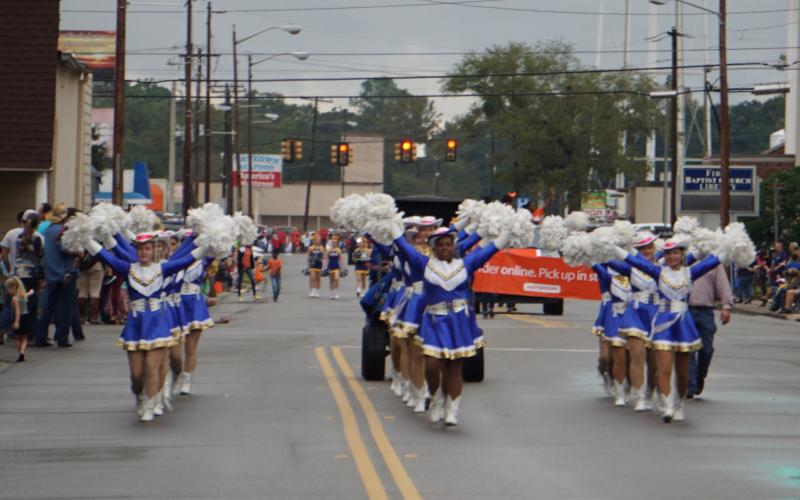 Article Image Alt Text