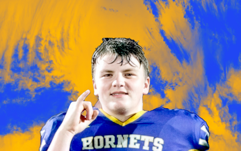 Article Image Alt Text