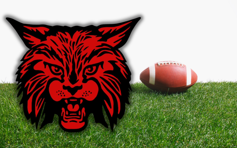 Article Image Alt Text