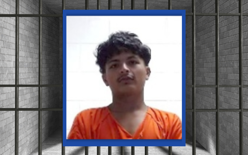 Article Image Alt Text