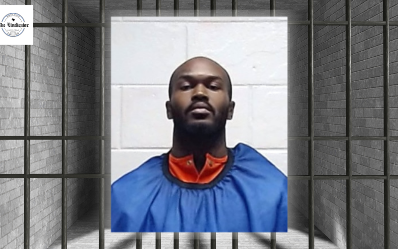 Article Image Alt Text