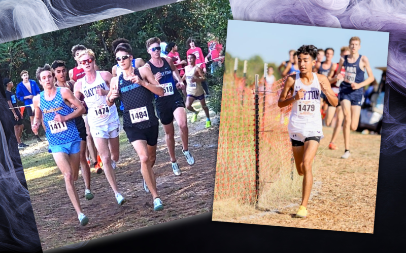 Article Image Alt Text