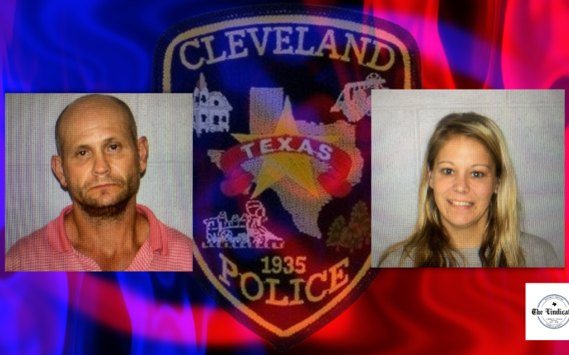 Article Image Alt Text