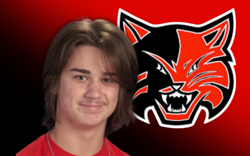 Article Image Alt Text