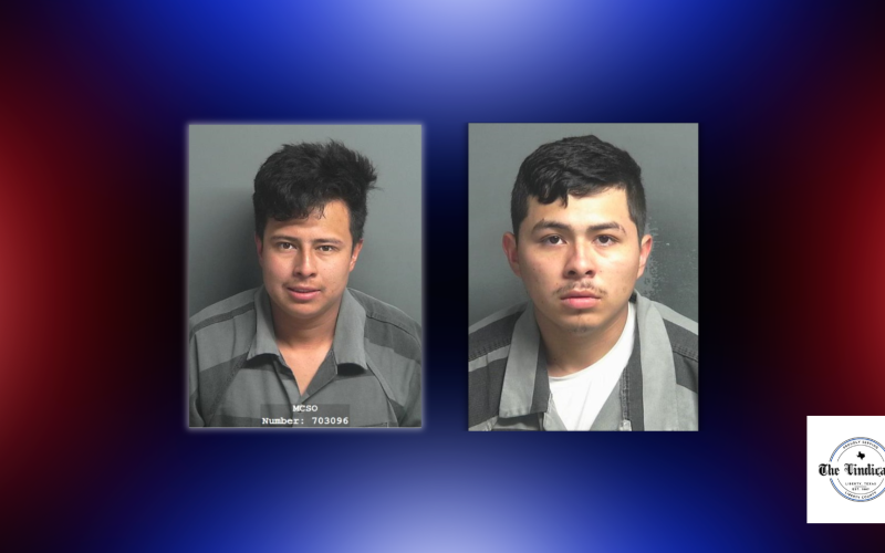 Article Image Alt Text