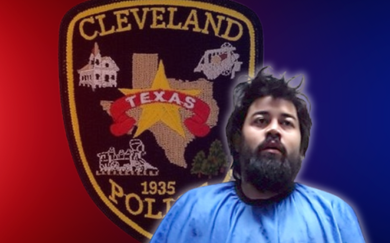 Article Image Alt Text