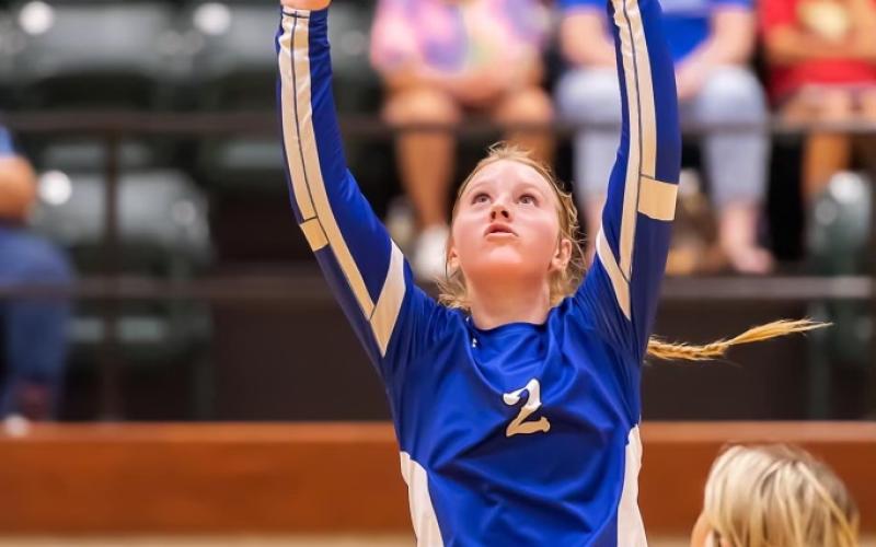 Article Image Alt Text