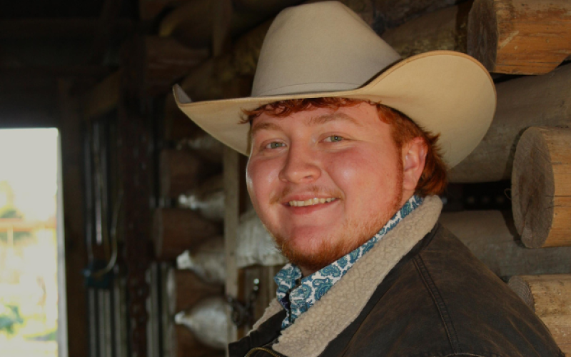 Article Image Alt Text