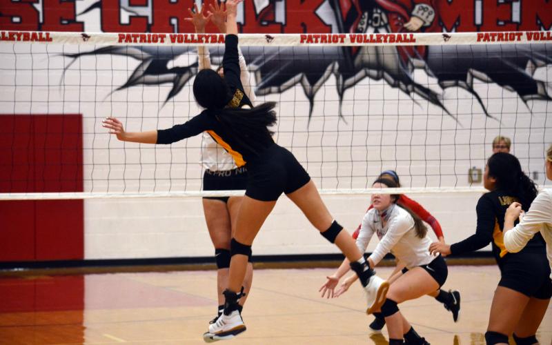 Article Image Alt Text