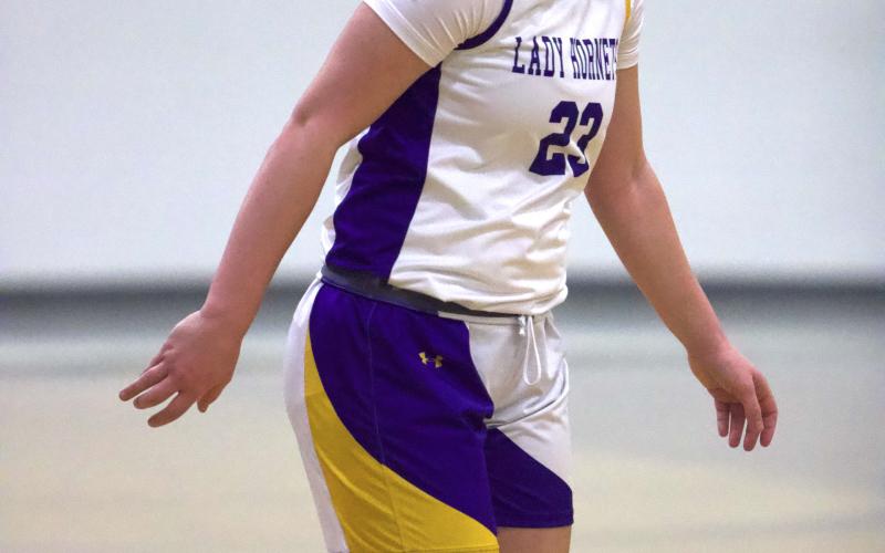 Article Image Alt Text