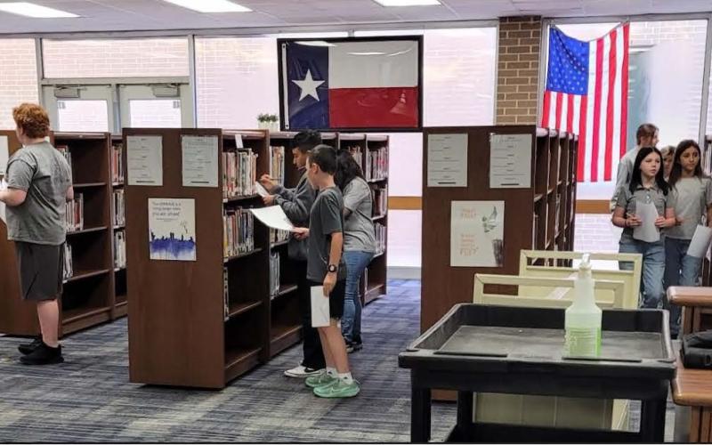 Article Image Alt Text