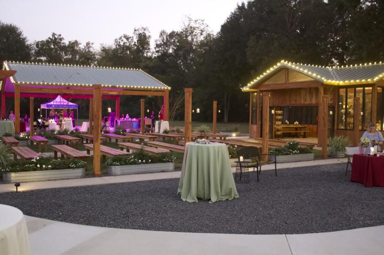 Article Image Alt Text