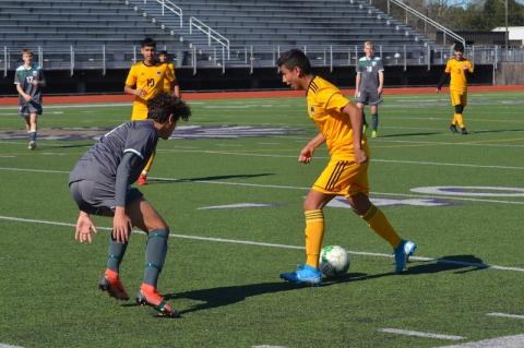 Article Image Alt Text