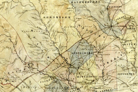 Article Image Alt Text