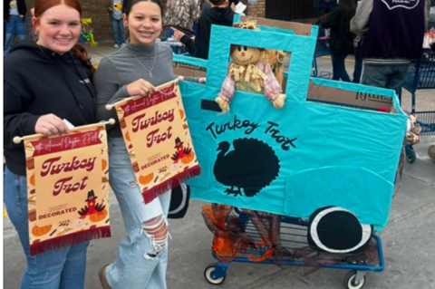 Article Image Alt Text