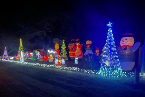 Article Image Alt Text