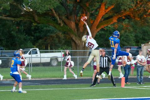 Article Image Alt Text