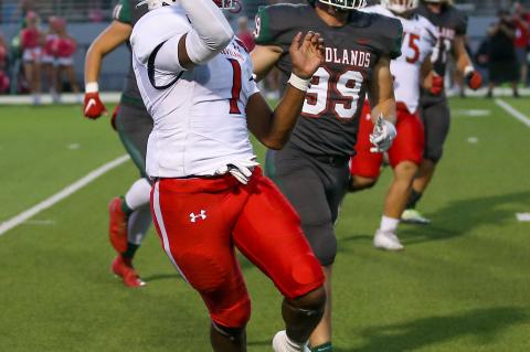 Article Image Alt Text