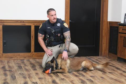 Article Image Alt Text