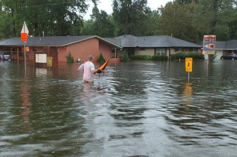 Article Image Alt Text