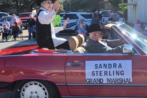 Article Image Alt Text