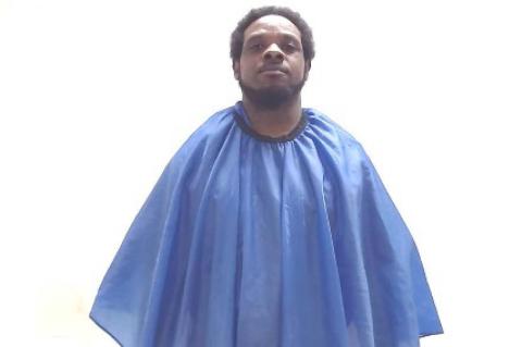 Article Image Alt Text