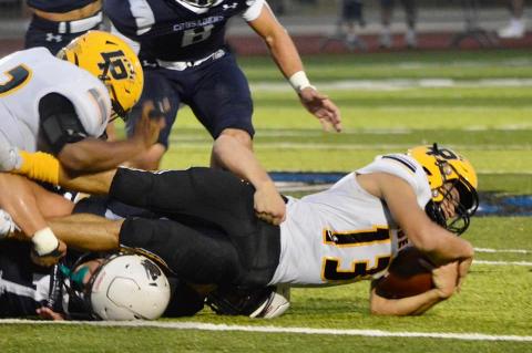 Article Image Alt Text